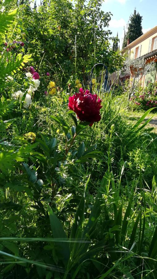 Lolifan En Provence Bed & Breakfast Бриньол Екстериор снимка